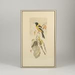 1789&nbsp;7120&nbsp;Färgetsning